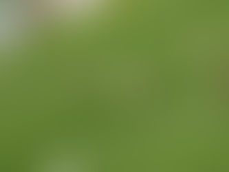 ACR MESSINA – CASTRUM FAVARA: SFIDA DEL RISCATTO PER I BIANCOSCUDATI