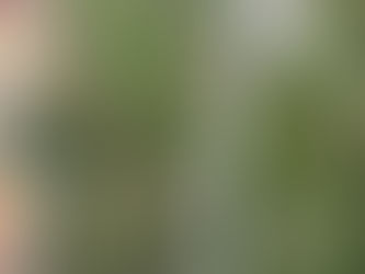 NASO, DISSESTRO IDROGEOLOGICO: AL VIA LA MESSA IN SICUREZZA SULLA CAPO D’ORLANDO