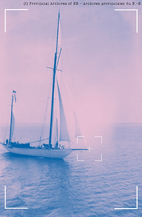 Barachois26 - C3.png