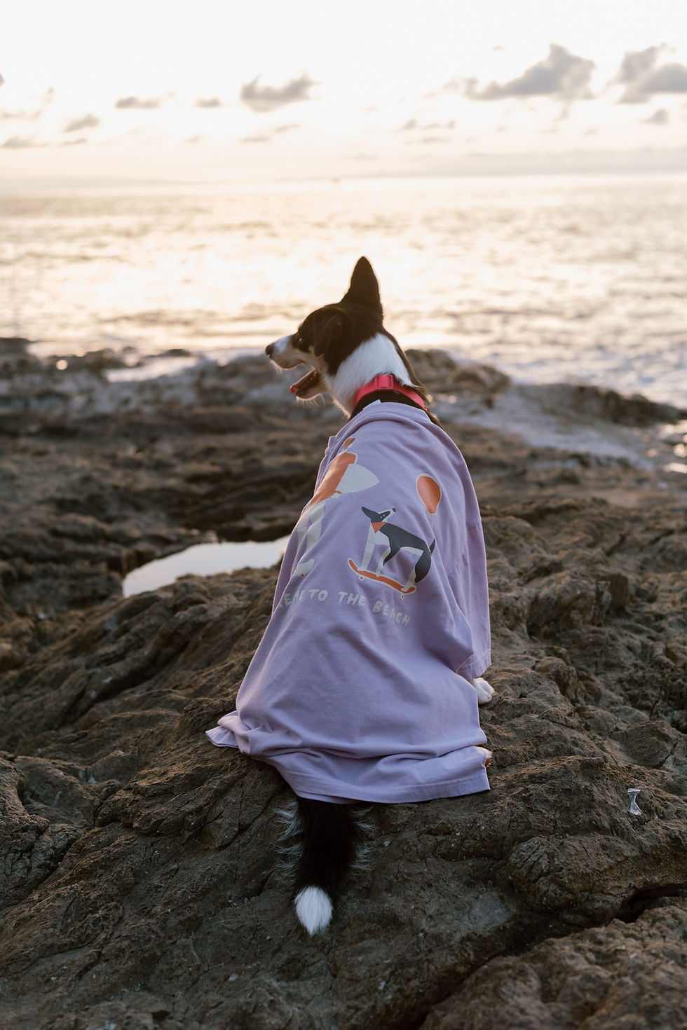 Thumbnail: The Place x Kookumbra Sandy T-Shirt + Sticker Set