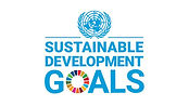SDG logo.jpg