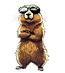 Sans titre (2).png