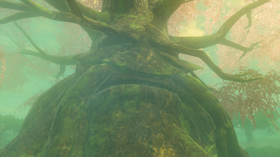deku tree.jpeg