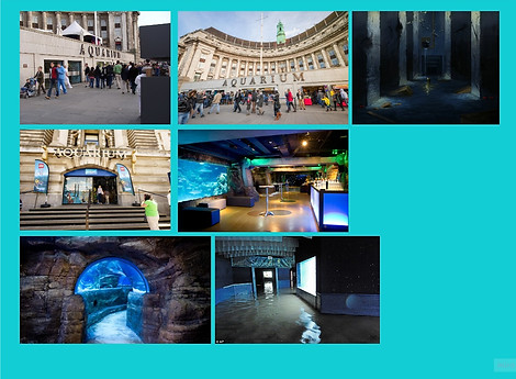 Level Design Plan - Sea Life Centre London Aquarium.jpg