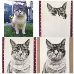 Tijgertje stap voor stap