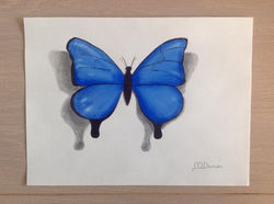 Vlinder, pastelkrijt (2014)