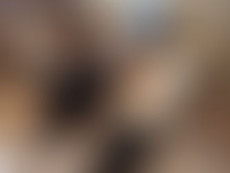 La alimentación de nuestros perros