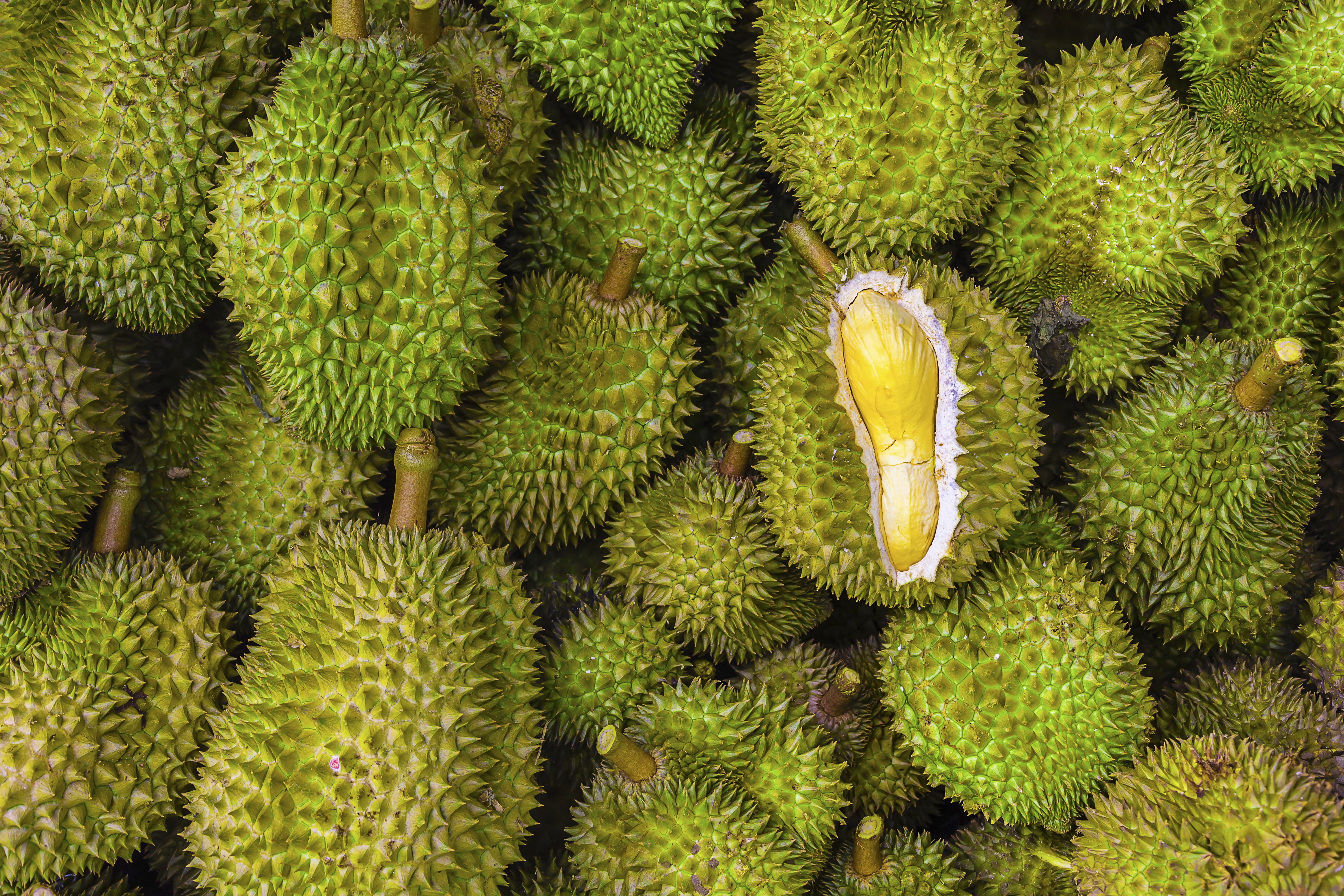 Durian Page - Product Description V3.webp