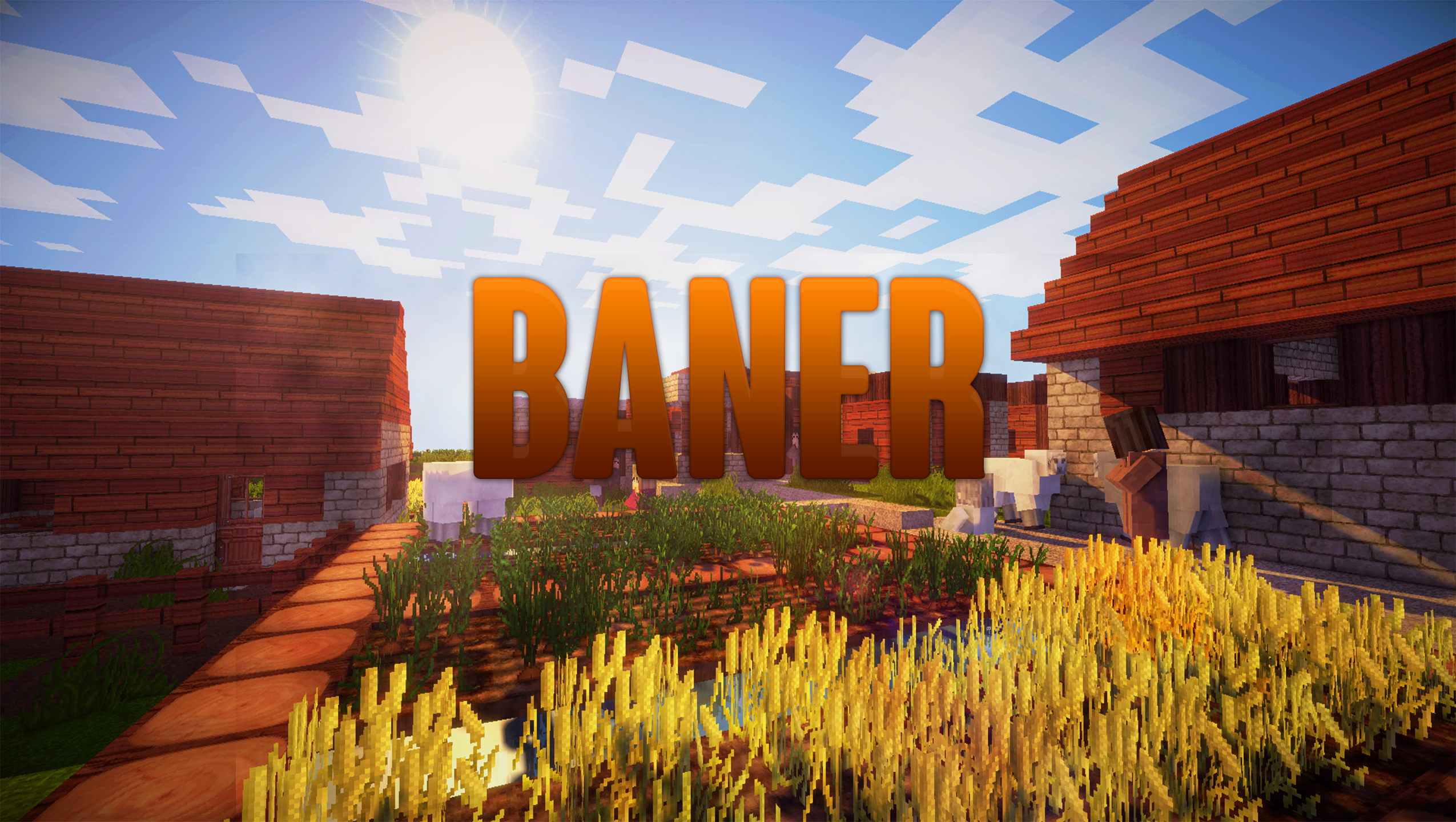 Baner