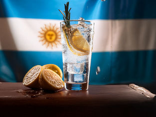 gin argentinos
