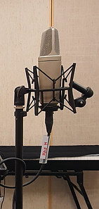 Mikrophone, Beispiele Klein- und Großmembran
