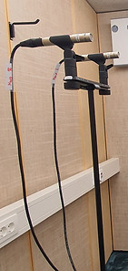 Mikrophone, Beispiele Klein- und Großmembran