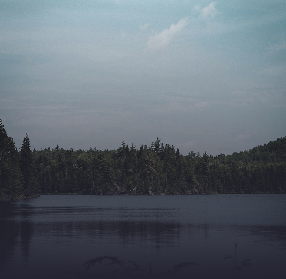 Paysage de nature