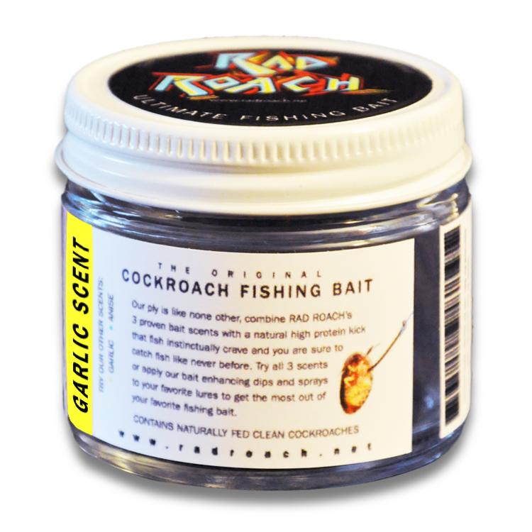 fishing bait scents