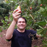 Mato Grosso