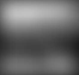 The Weight of Memory: Why We Preserve the Past