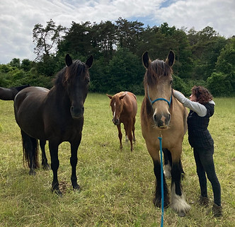 WhatsApp Image 2025-06-03 at 15.32.17.jpeg