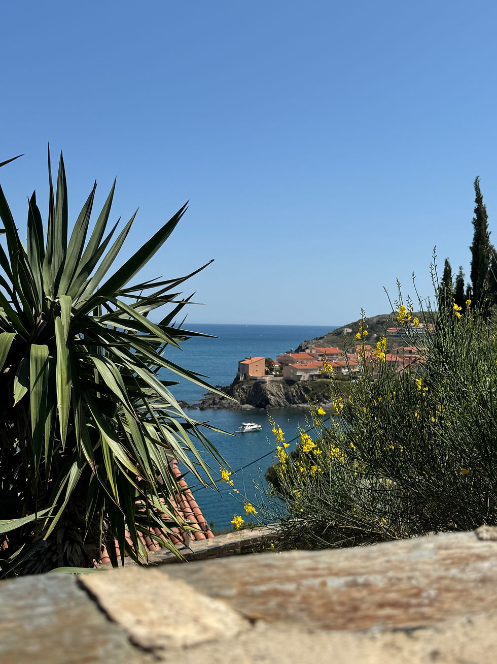visite incontournable du village de Collioure en bord de mer dans les Pyrénées-Orientales