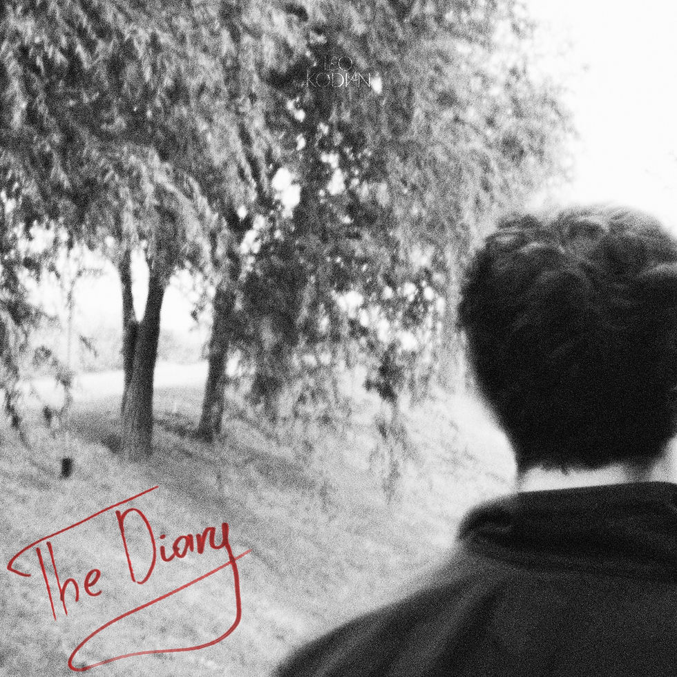 The Diary Artwork.jpg