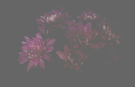 Purple Flowers Cluster_edited.jpg