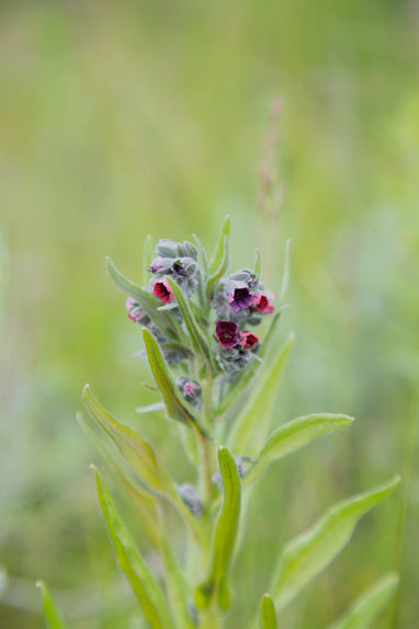 0G8A8839.jpg