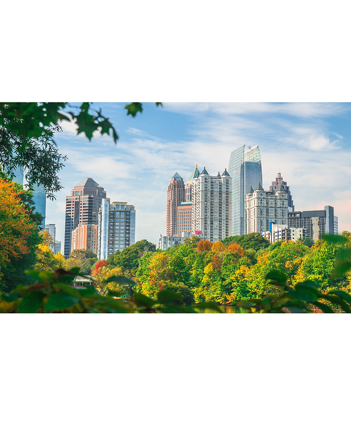 Untitled design (2).png