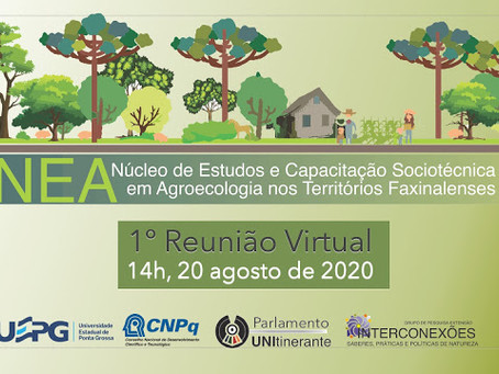 1ª Reunião Virtual do NEA Territórios Faxinalenses