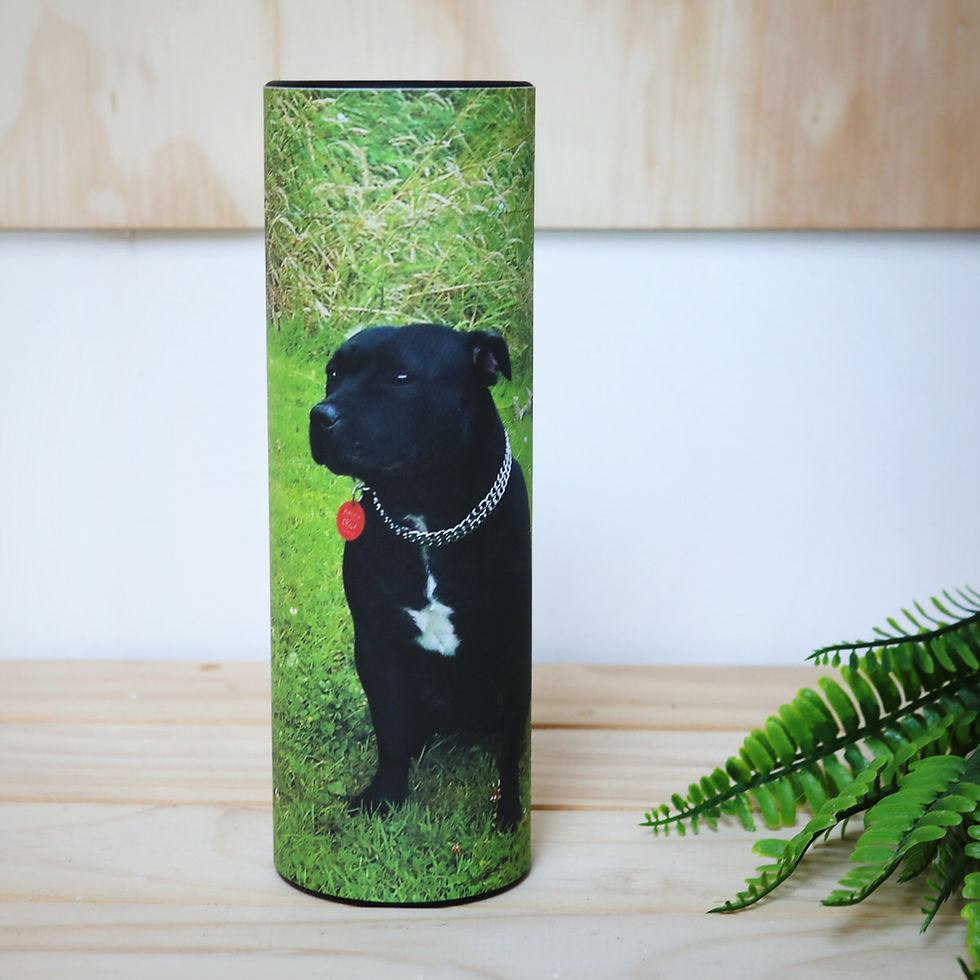 Thumbnail: Personalised Pet Scattertube*