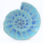 pottery plate seashell