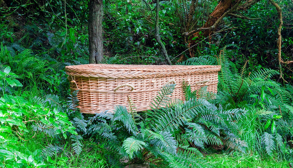 willow wicker Coffin New Zealand