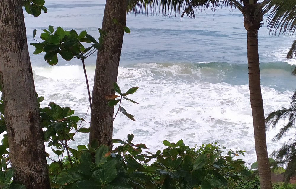 וורקלה (Varkala) הוואי של המזרח בהודו — ענת גרוס לאור