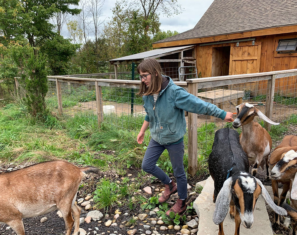 Thumbnail: Private Herd Hike