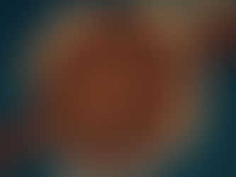 Coffee Report - August 24th