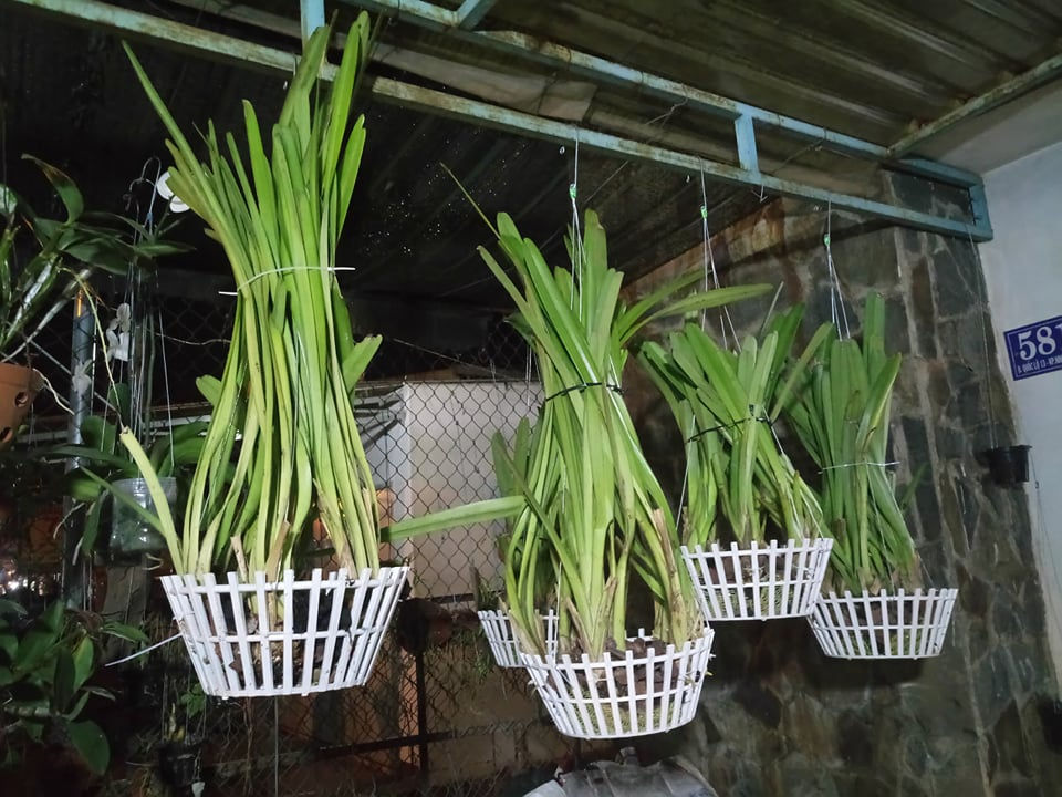 Thumbnail: Kiếm tiên vũ