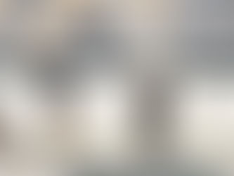 Les boiteries chez le cheval, la hantise de tous les cavaliers et propriétaires !