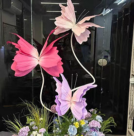 WhatsApp Image 2025-08-29 at 16.07.27_31cfdf6d.jpg