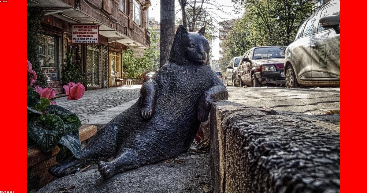 ברזל או אלומיניום: מה באמת משתלם? השוואה מקיפה בין האפשרויות והמחירים
