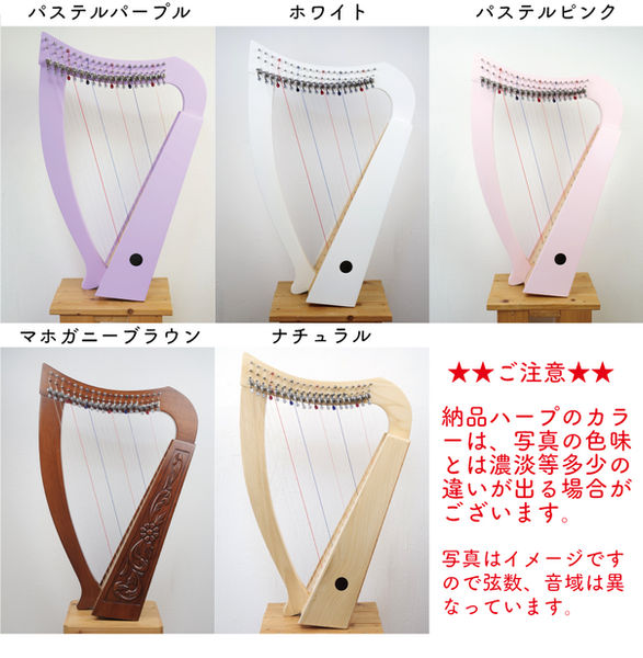 カラーバリエーション写真.jpg