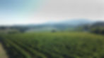DJI_0018.jpg