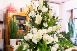 FOTO_Florist_Judel-16