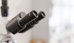 Tierärztin_Sander-11