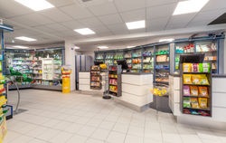 foto_Pinguin_Apotheke_Hr-kleine_Siemer-1