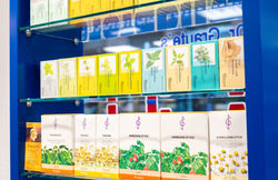 FOTO_Dr_Grautes_Wildpferd_Apotheke-13