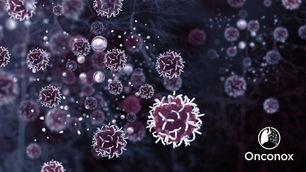 The Tumor Microenvironment in NSCLC and How It Influences Radiotherapy Response