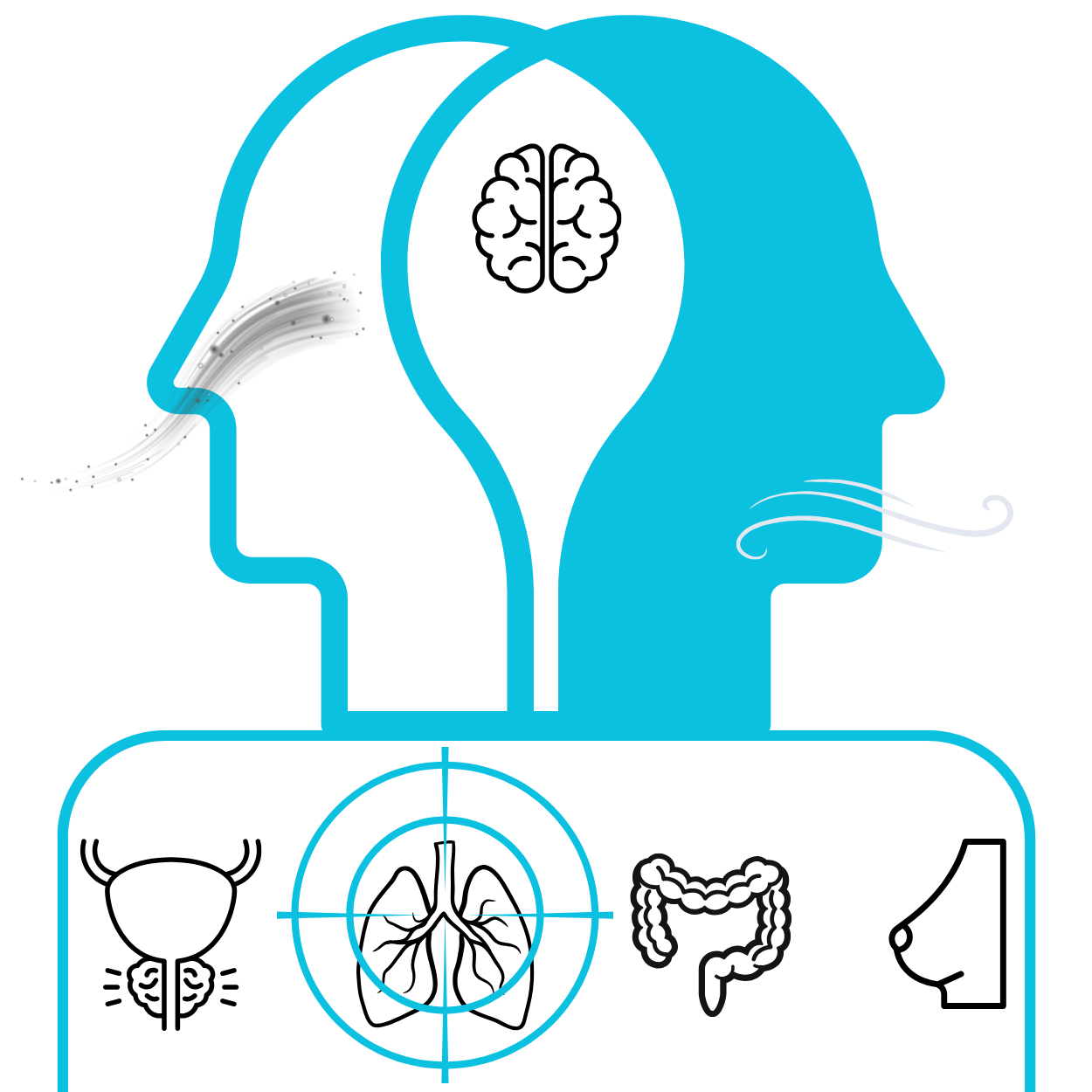 Onconox Strategy blue.png