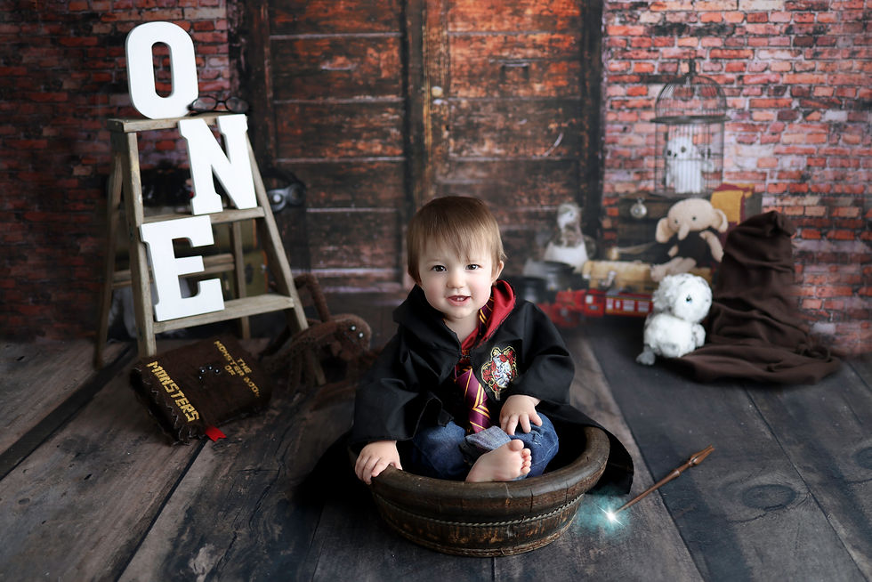 Hartland, Michigan newborn photographer