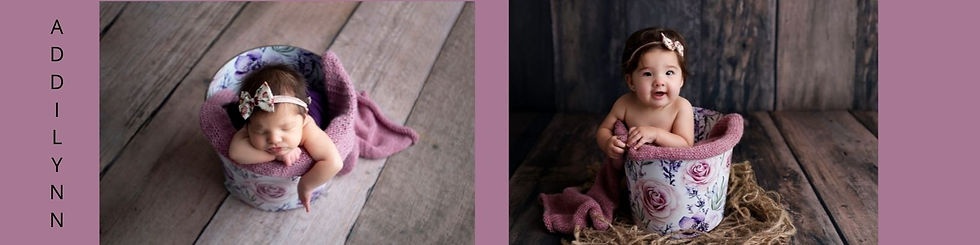 Brighton Michigan Newborn Photographer