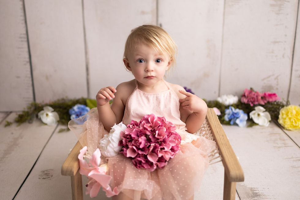 Fenton, Michigan Newborn Photographer