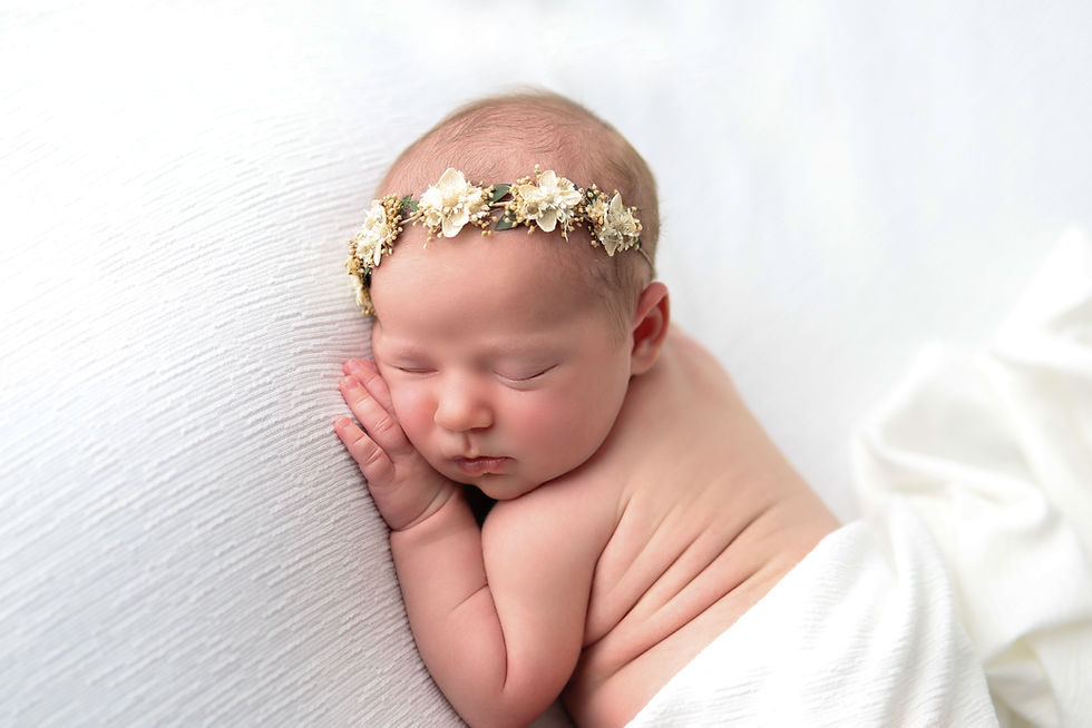 Fenton, Michigan Newborn Photographer