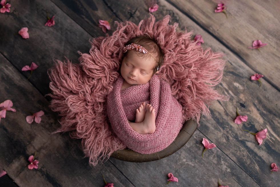 Fenton, Michigan Newborn Photographer